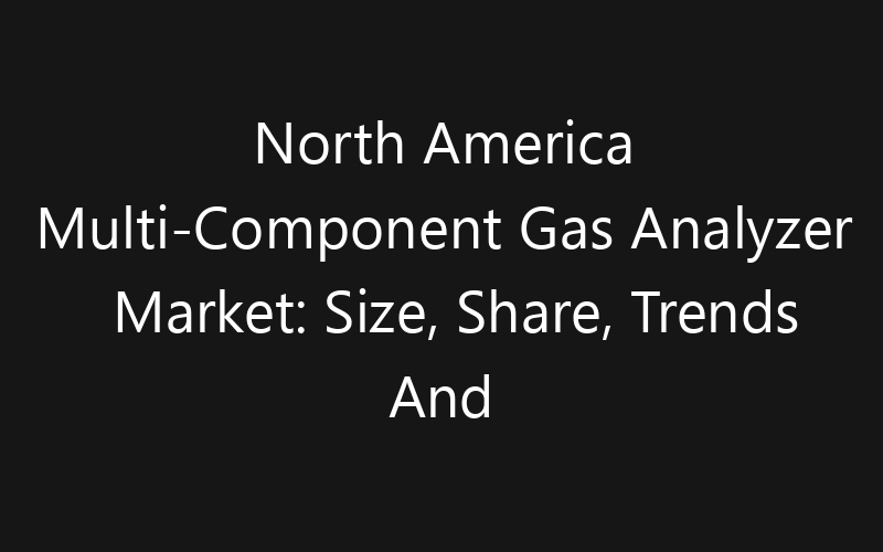 North America Multi-Component Gas Analyzer Market: Size, Share, Trends And Forecast 2035
