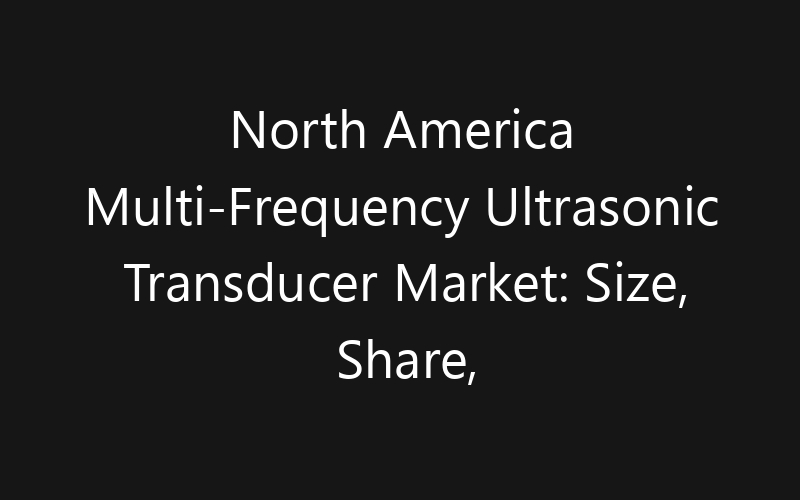 North America Multi-Frequency Ultrasonic Transducer Market: Size, Share, Trends And Forecast 2035