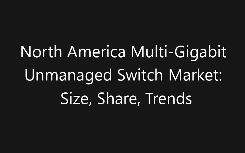 North America Multi-Gigabit Unmanaged Switch Market: Size, Share, Trends And Forecast 2035