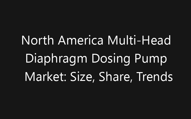 North America Multi-Head Diaphragm Dosing Pump Market: Size, Share, Trends And Forecast 2035