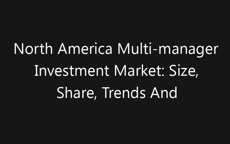 North America Multi-manager Investment Market: Size, Share, Trends And Forecast 2035