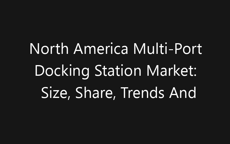 North America Multi-Port Docking Station Market: Size, Share, Trends And Forecast 2035