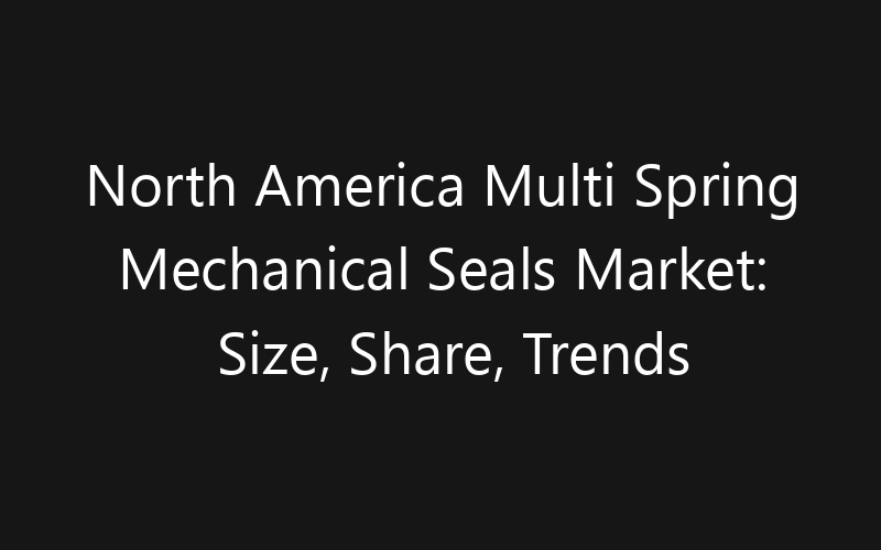 North America Multi Spring Mechanical Seals Market: Size, Share, Trends And Forecast 2035