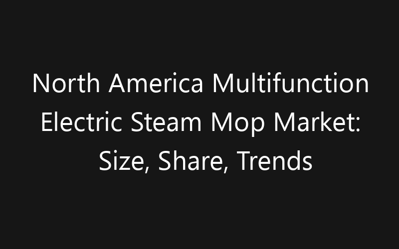North America Multifunction Electric Steam Mop Market: Size, Share, Trends And Forecast 2035