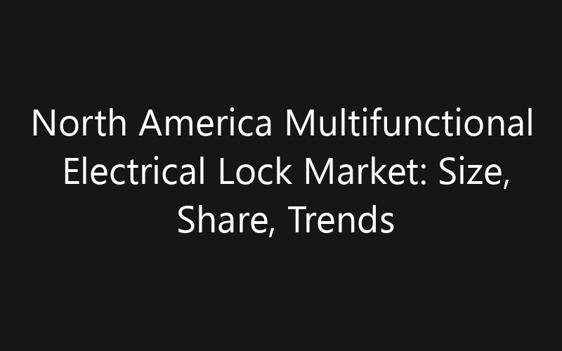 North America Multifunctional Electrical Lock Market: Size, Share, Trends And Forecast 2035