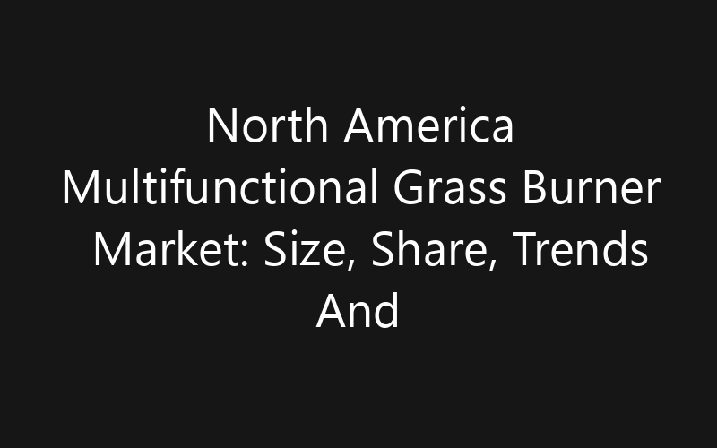 North America Multifunctional Grass Burner Market: Size, Share, Trends And Forecast 2035