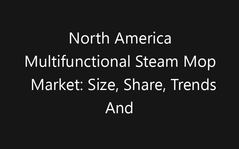 North America Multifunctional Steam Mop Market: Size, Share, Trends And Forecast 2035
